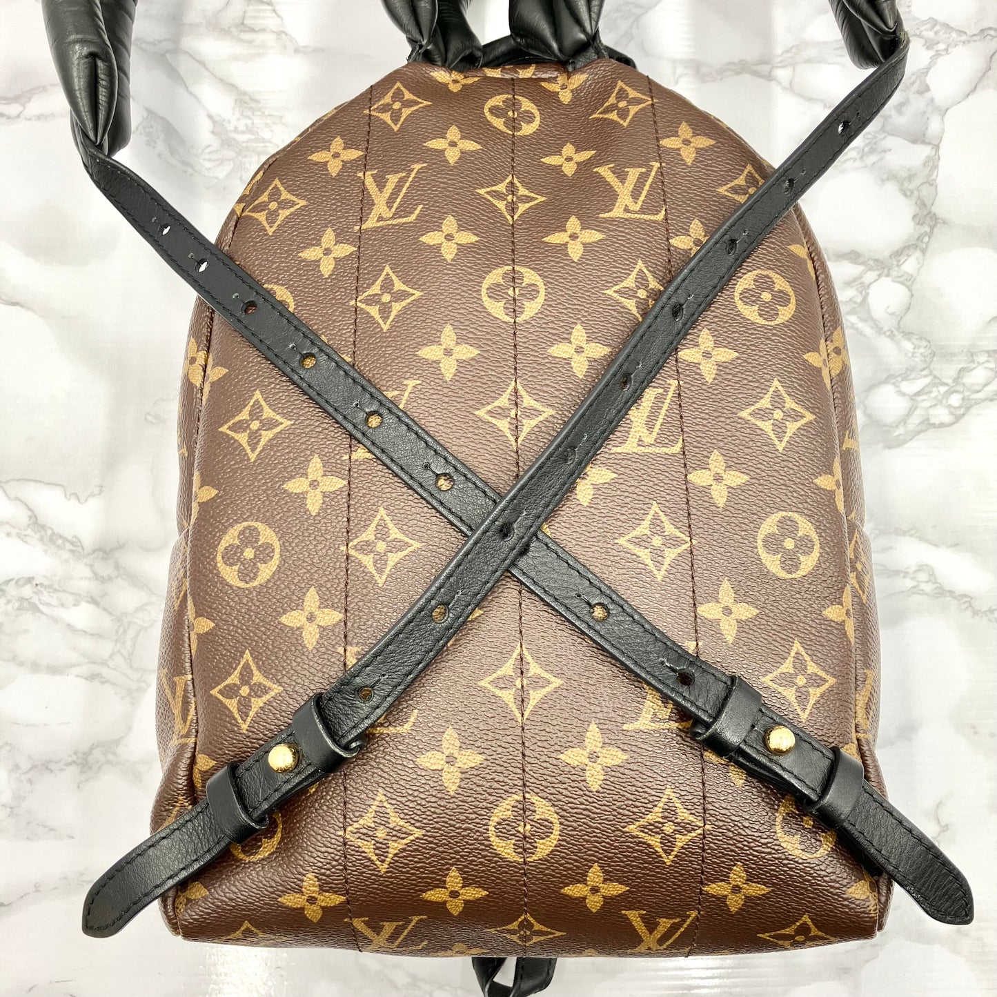 LOUIS VUITTON Monogram Palm Springs PM