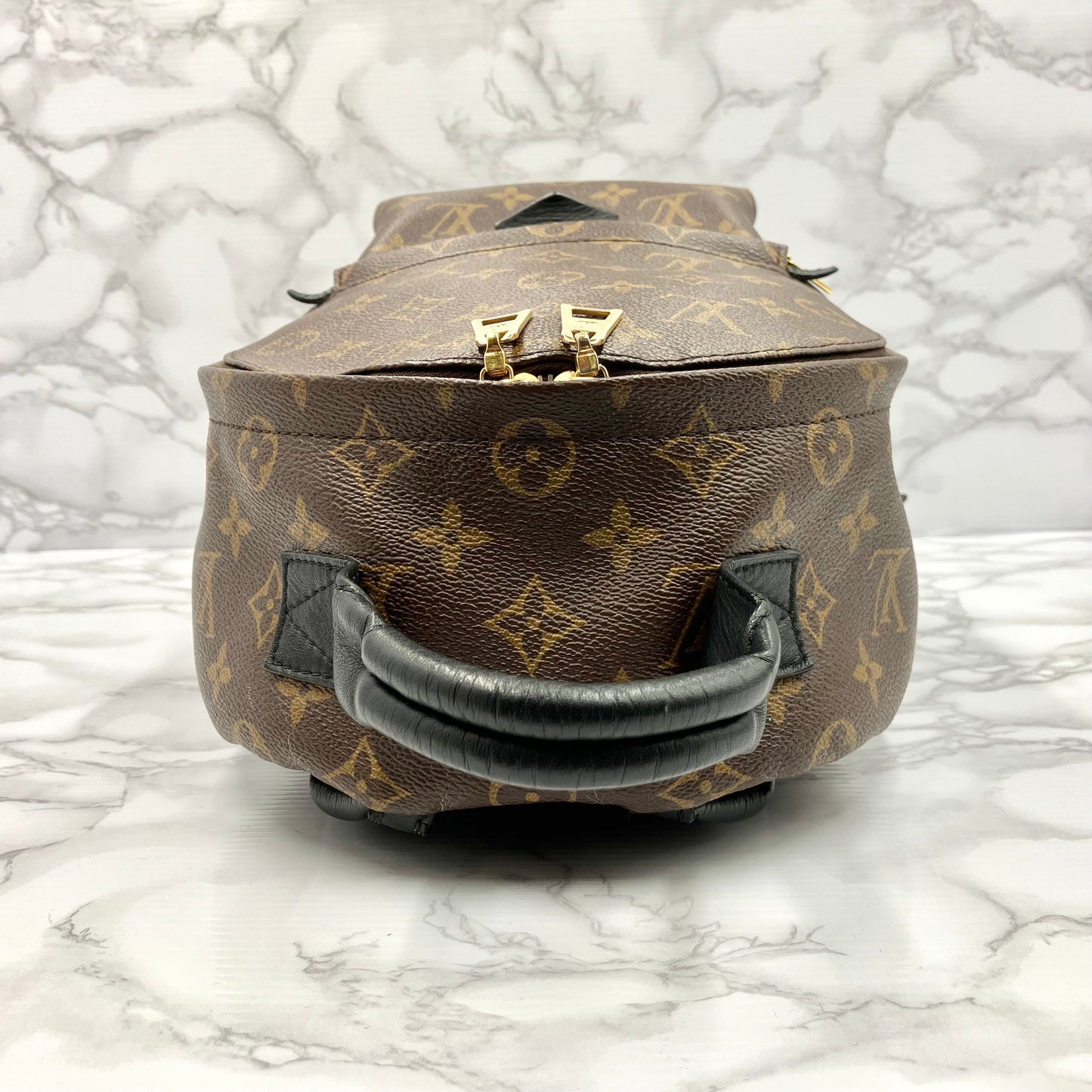 LOUIS VUITTON Monogram Palm Springs PM
