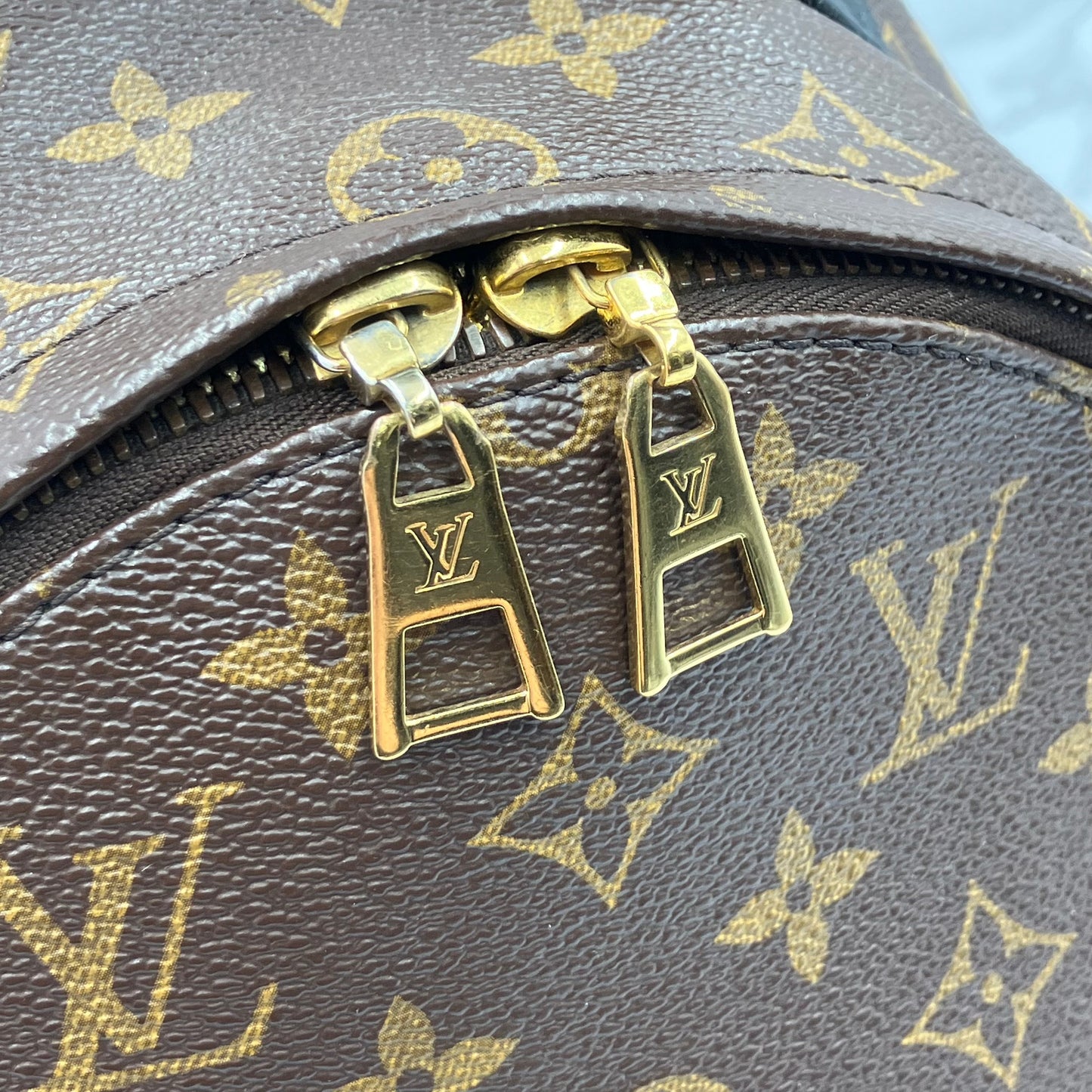 LOUIS VUITTON Monogram Palm Springs PM