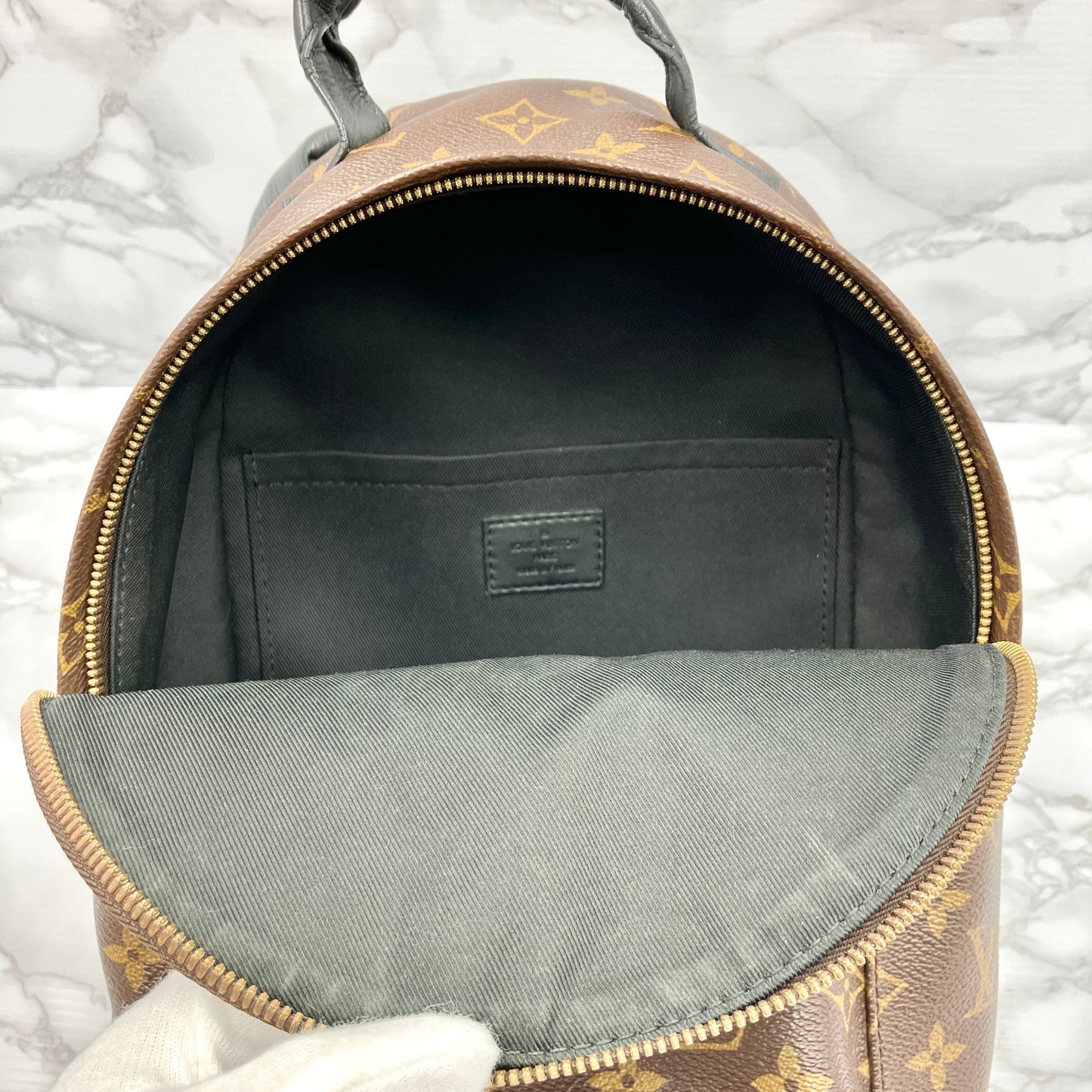 LOUIS VUITTON Monogram Palm Springs PM