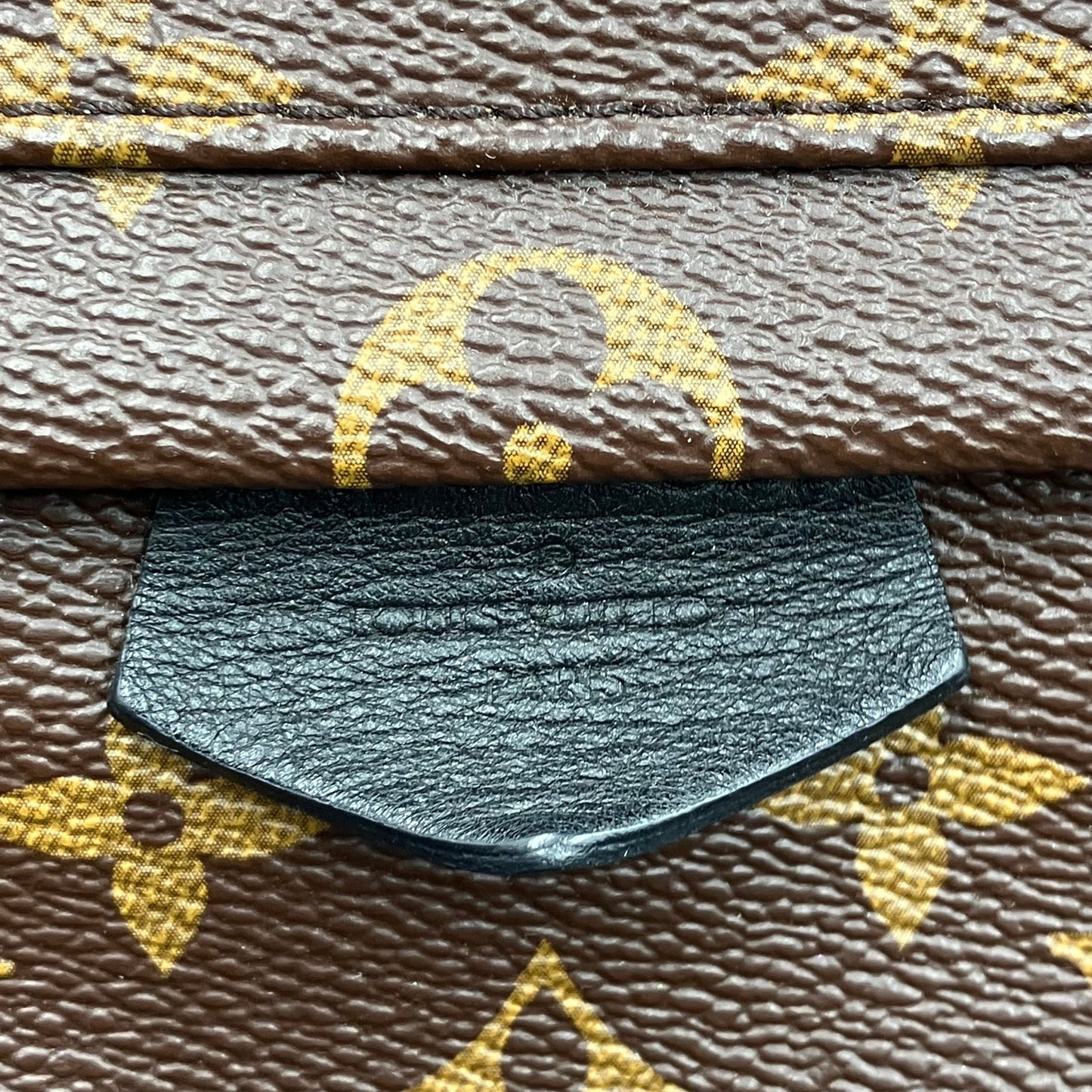 LOUIS VUITTON Monogram Palm Springs PM