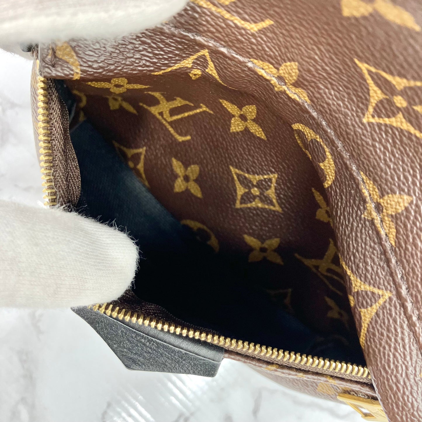 LOUIS VUITTON Monogram Palm Springs PM