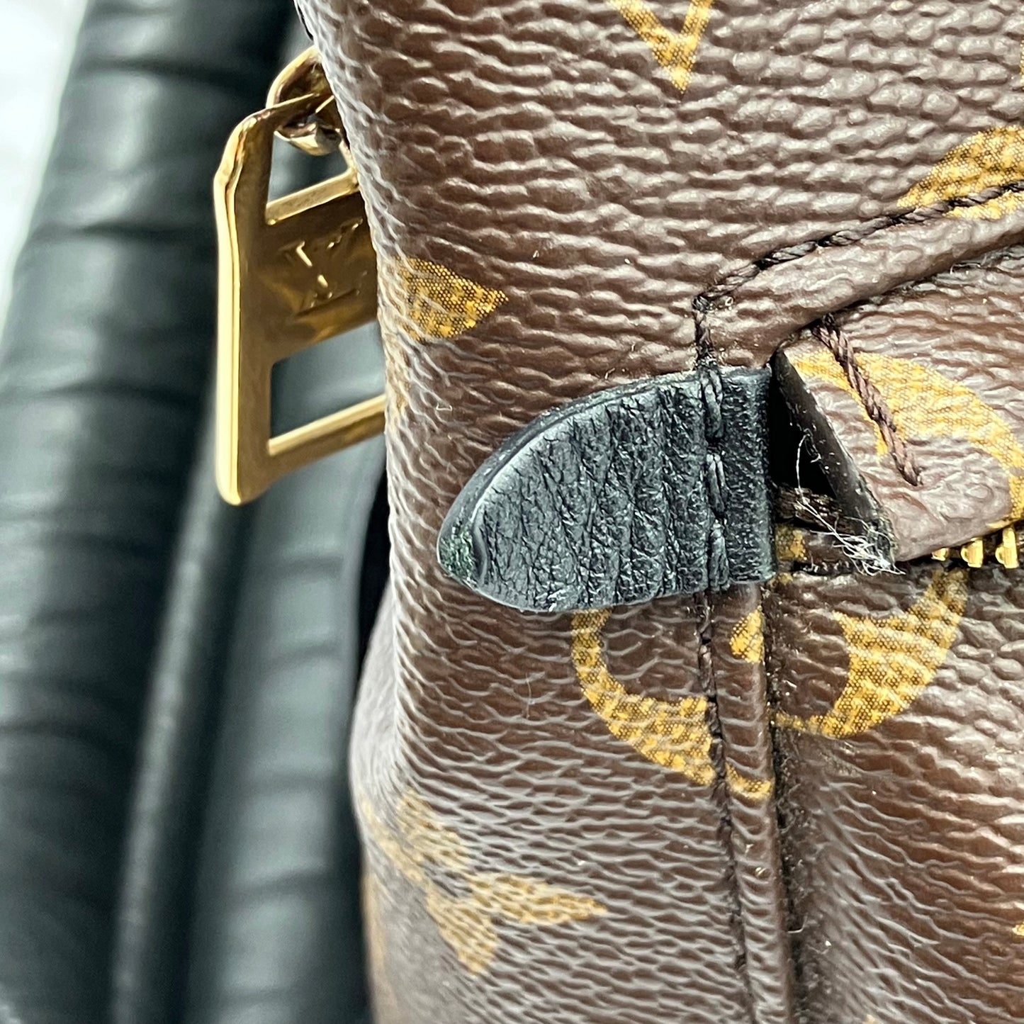 LOUIS VUITTON Monogram Palm Springs PM