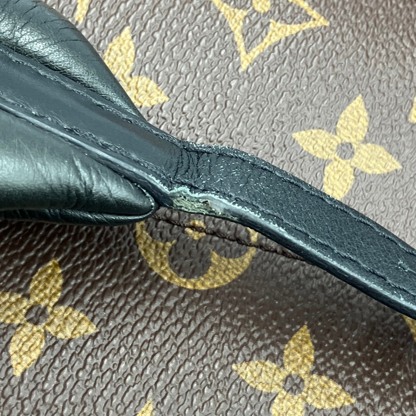 LOUIS VUITTON Monogram Palm Springs PM