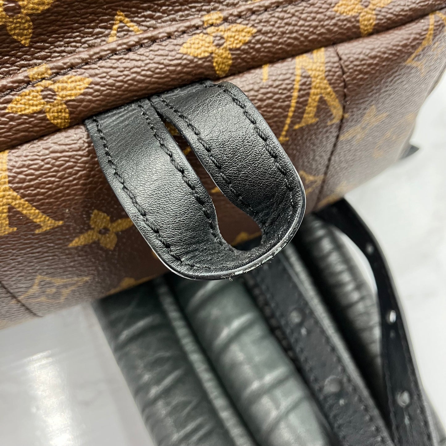 LOUIS VUITTON Monogram Palm Springs PM