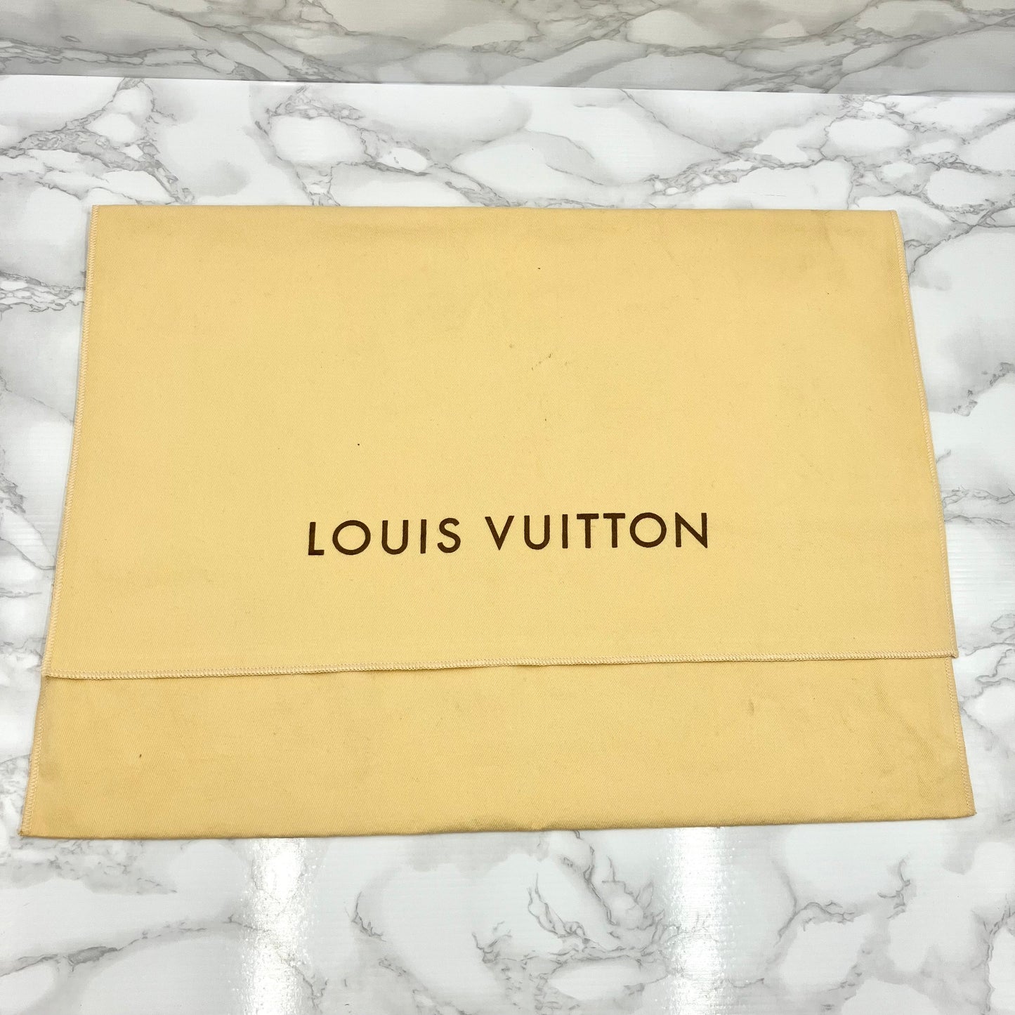 LOUIS VUITTON Monogram Palm Springs PM