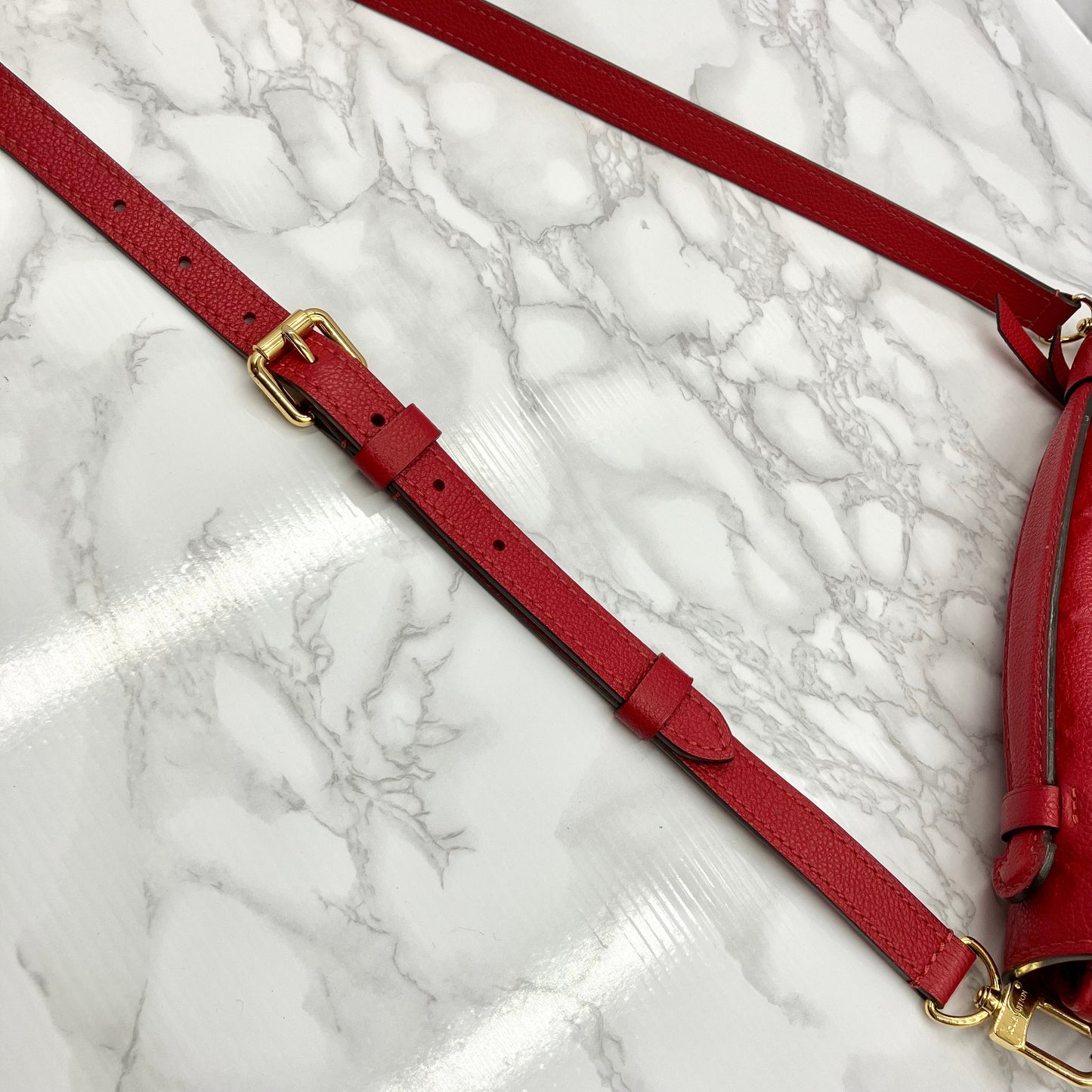 LOUIS VUITTON Amplant Metis