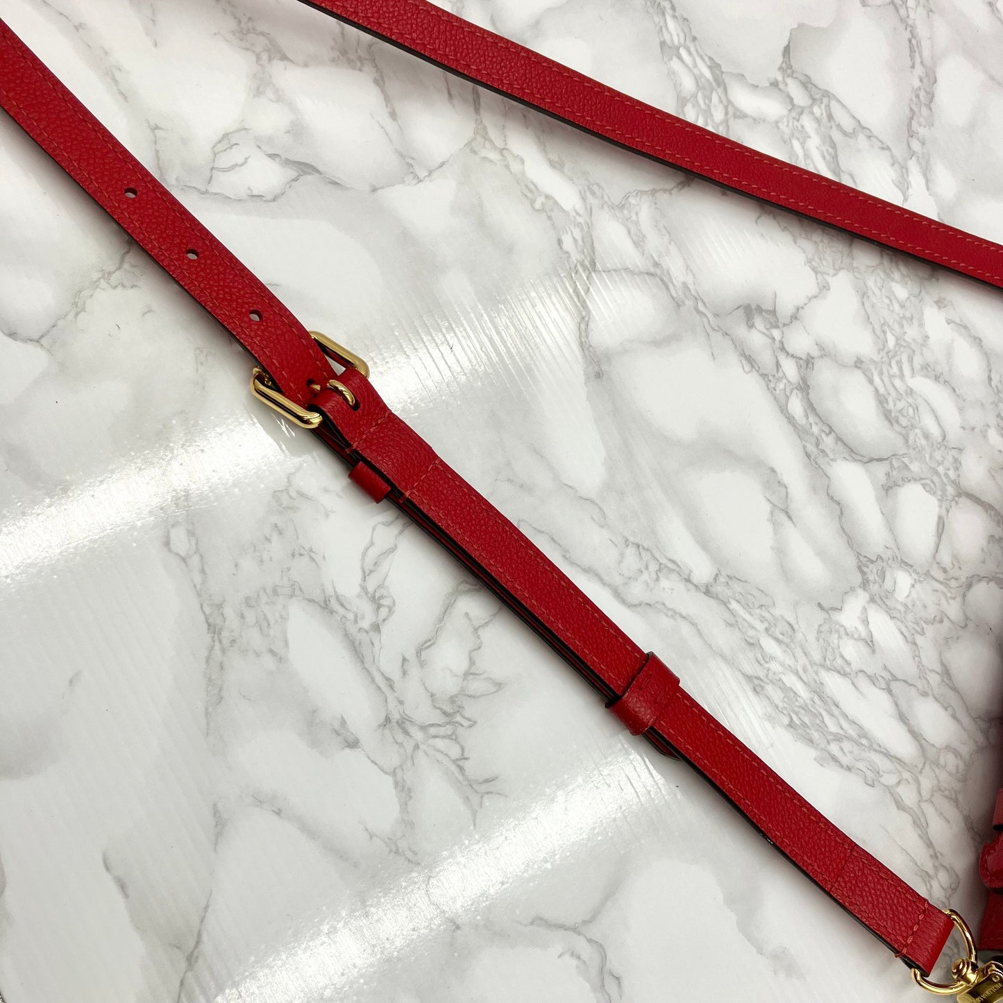 LOUIS VUITTON Amplant Metis