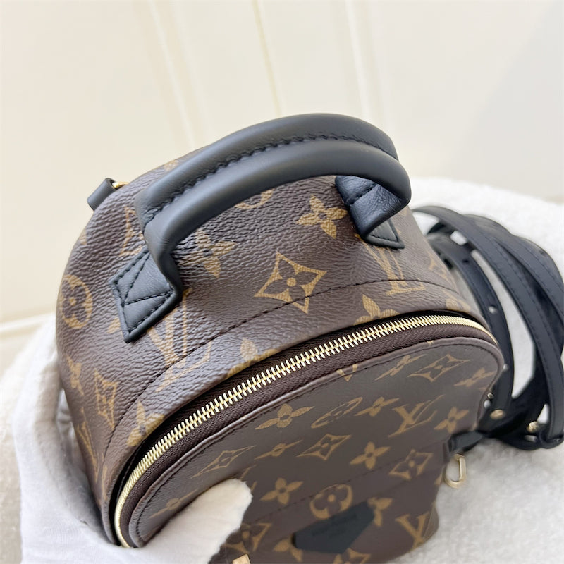 LV Palm Springs Mini Backpack in Monogram Canvas and GHW