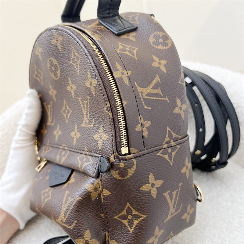 LV Palm Springs Mini Backpack in Monogram Canvas and GHW