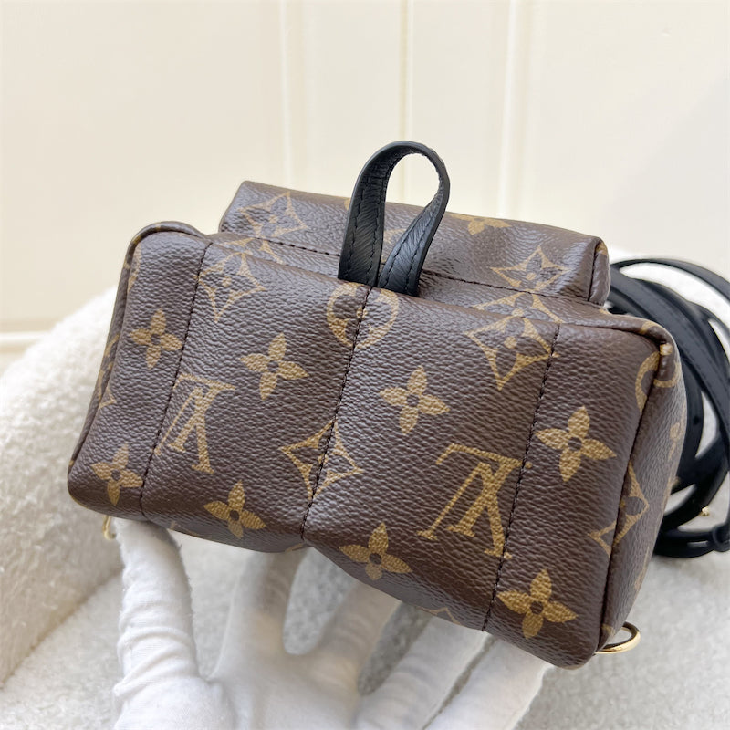 LV Palm Springs Mini Backpack in Monogram Canvas and GHW