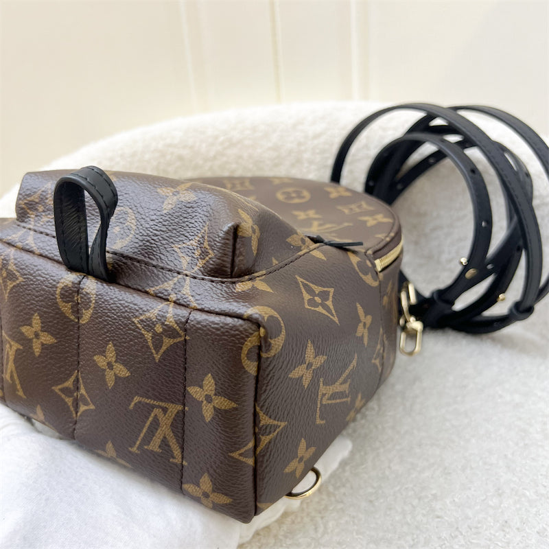 LV Palm Springs Mini Backpack in Monogram Canvas and GHW
