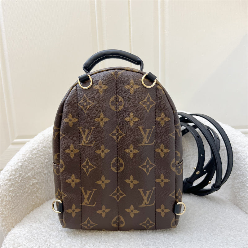 LV Palm Springs Mini Backpack in Monogram Canvas and GHW