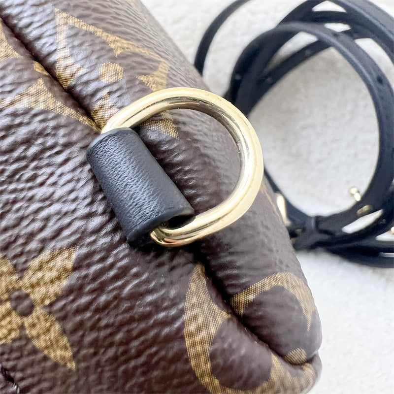 LV Palm Springs Mini Backpack in Monogram Canvas and GHW