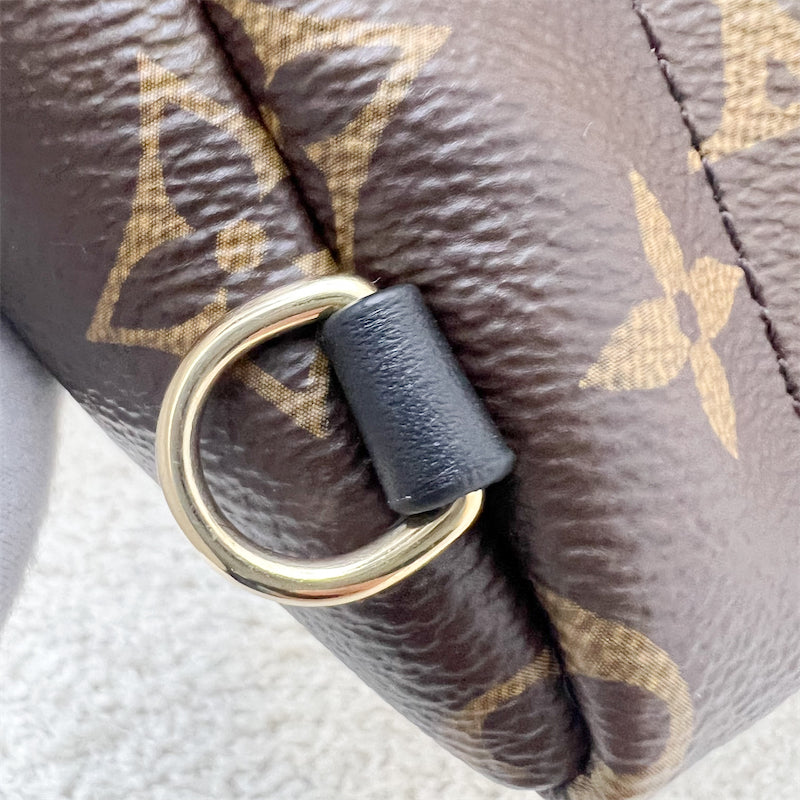 LV Palm Springs Mini Backpack in Monogram Canvas and GHW