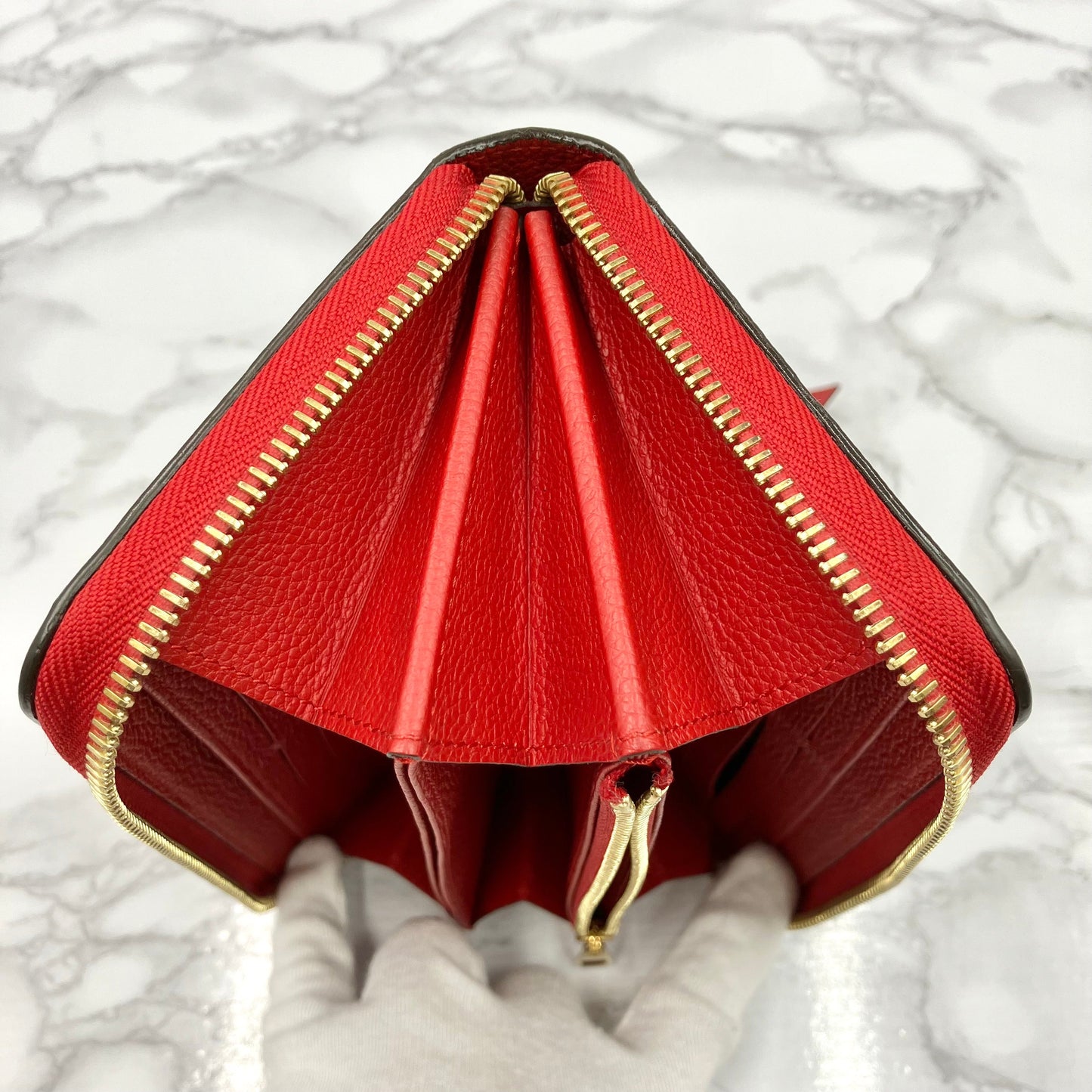 LOUIS VUITTON Amplant Zippy