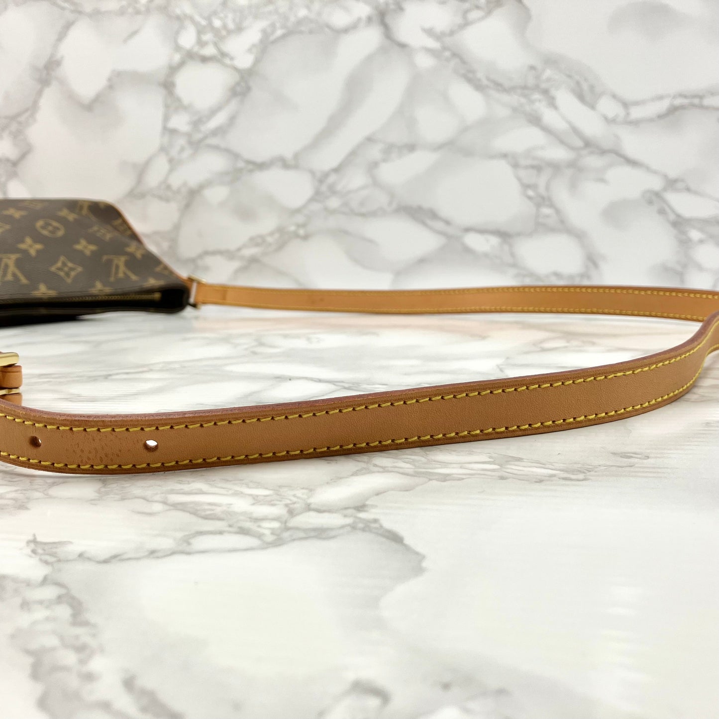 LOUIS VUITTON Monogram Trotter