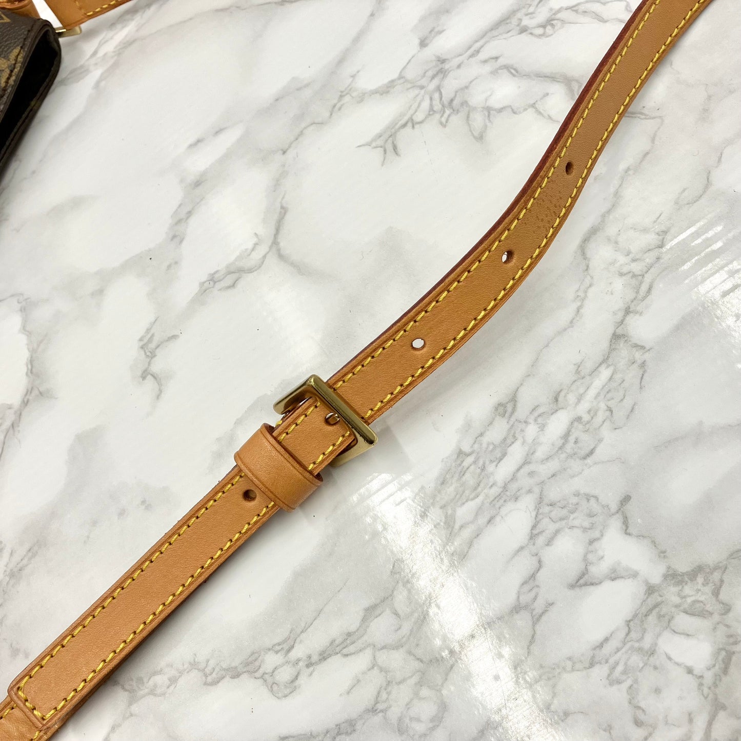 LOUIS VUITTON Monogram Trotter