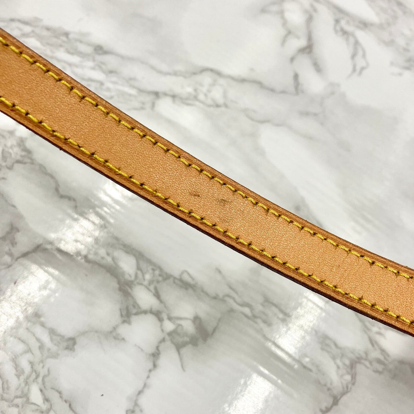 LOUIS VUITTON Monogram Trotter