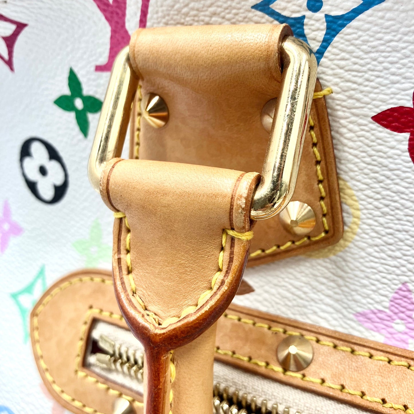 LOUIS VUITTON Multicolor Alma