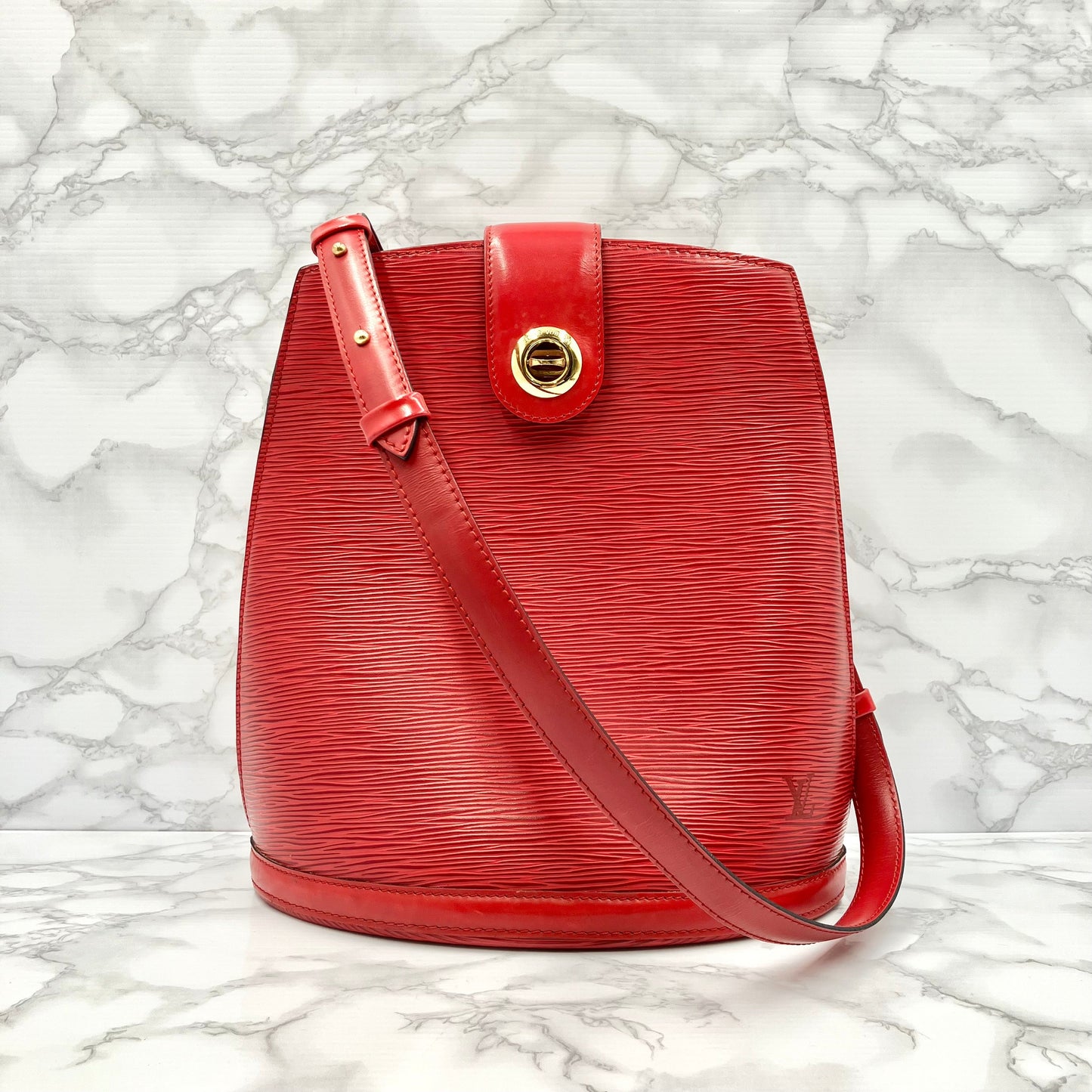 LOUIS VUITTON Epi Cluny