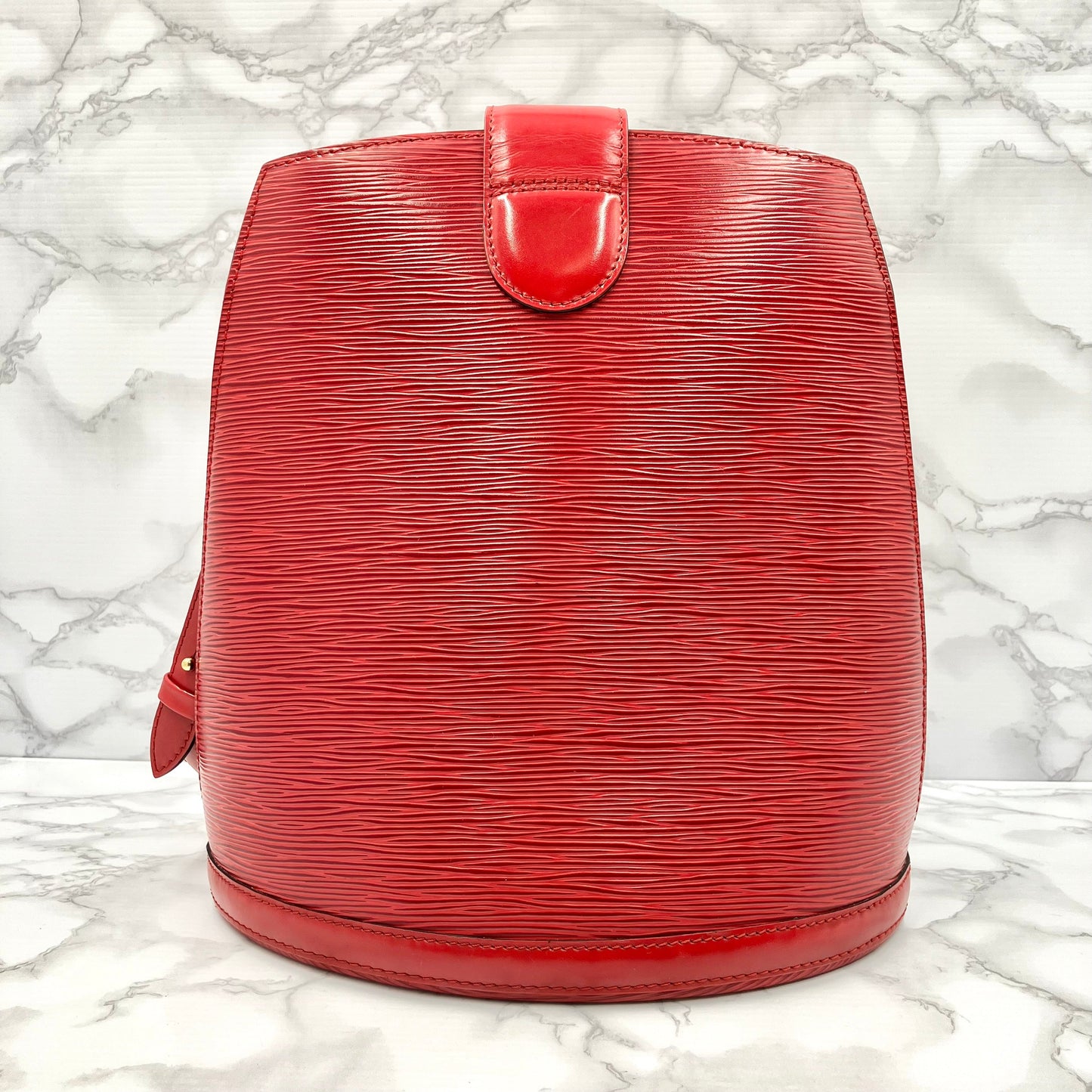LOUIS VUITTON Epi Cluny