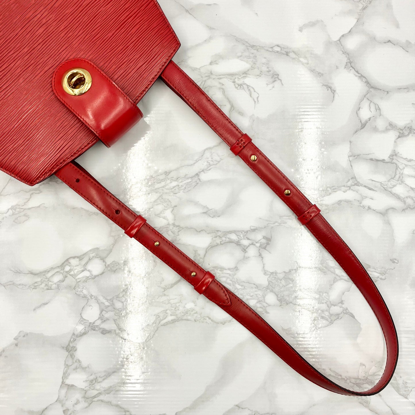 LOUIS VUITTON Epi Cluny