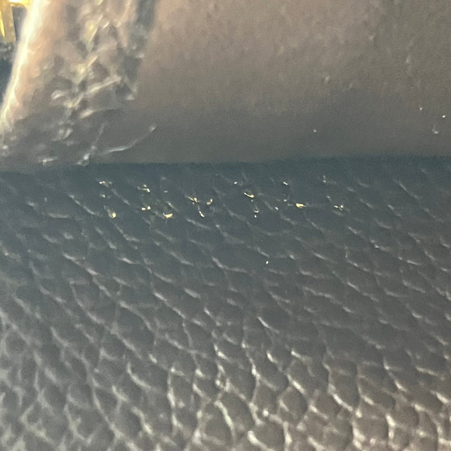LOUIS VUITTON Amplant Zippy