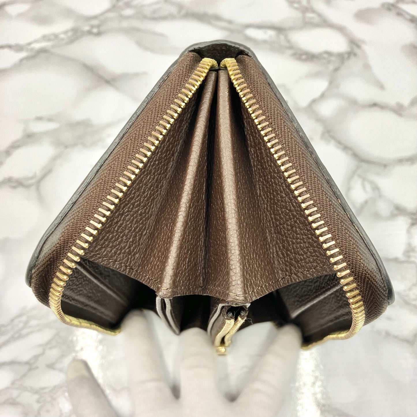 LOUIS VUITTON Amplant Zippy
