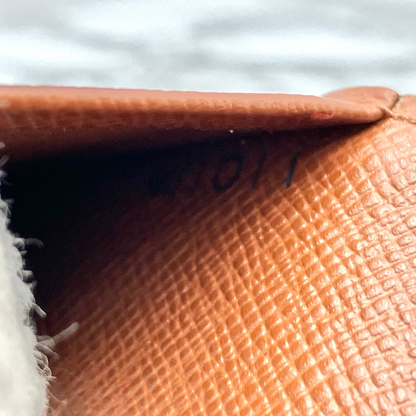LOUIS VUITTON Monogram passport case