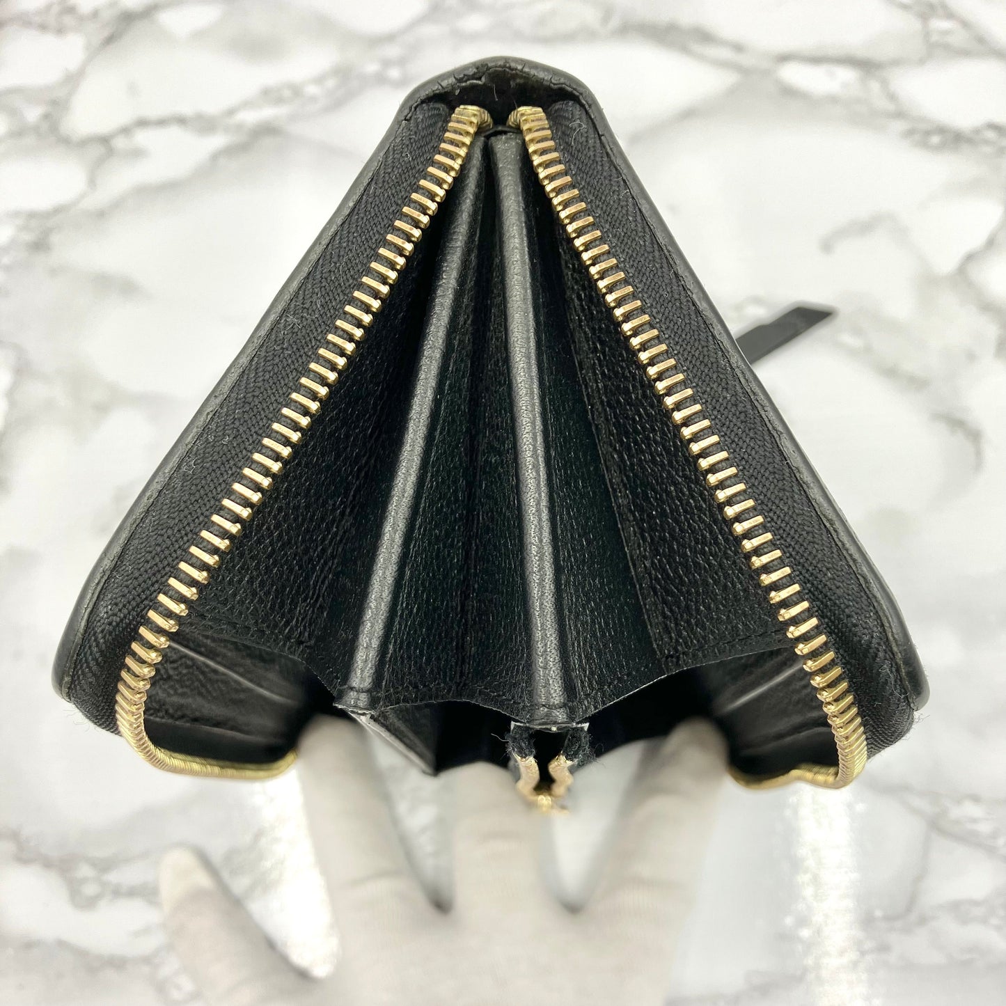 LOUIS VUITTON Amplant Zippy