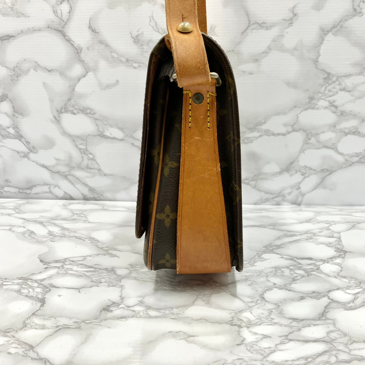 LOUIS VUITTON Monogram Cartesier