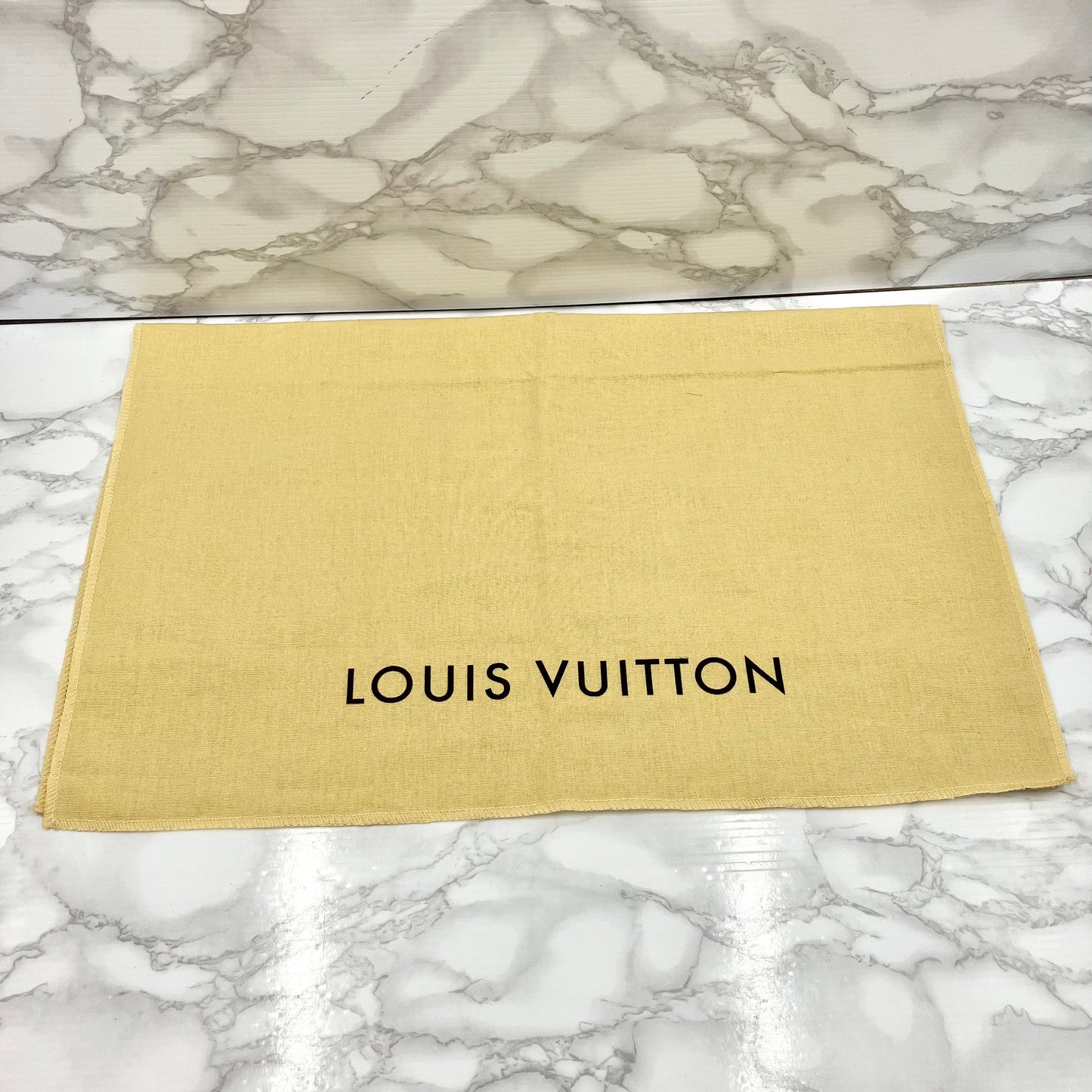 LOUIS VUITTON Epi Neverfull PM