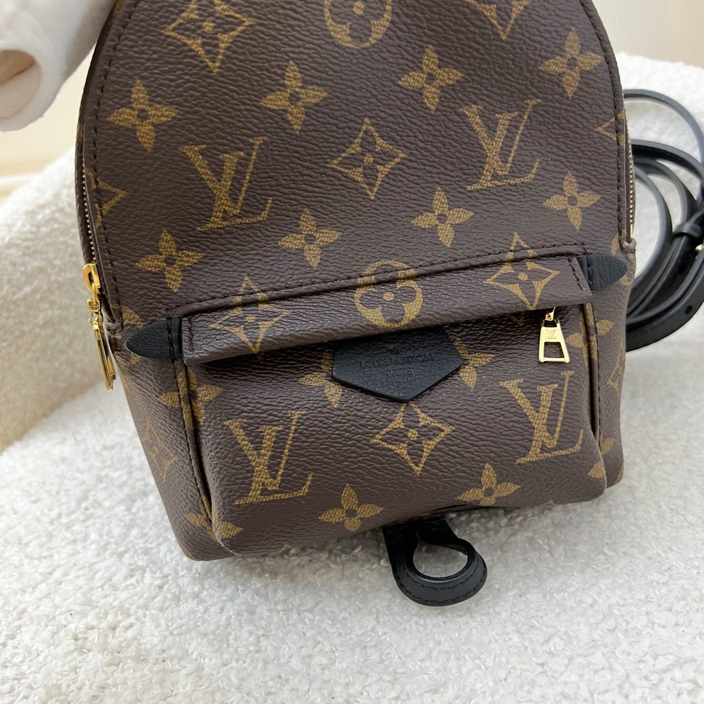 LV Palm Springs Mini Backpack in Monogram Canvas GHW