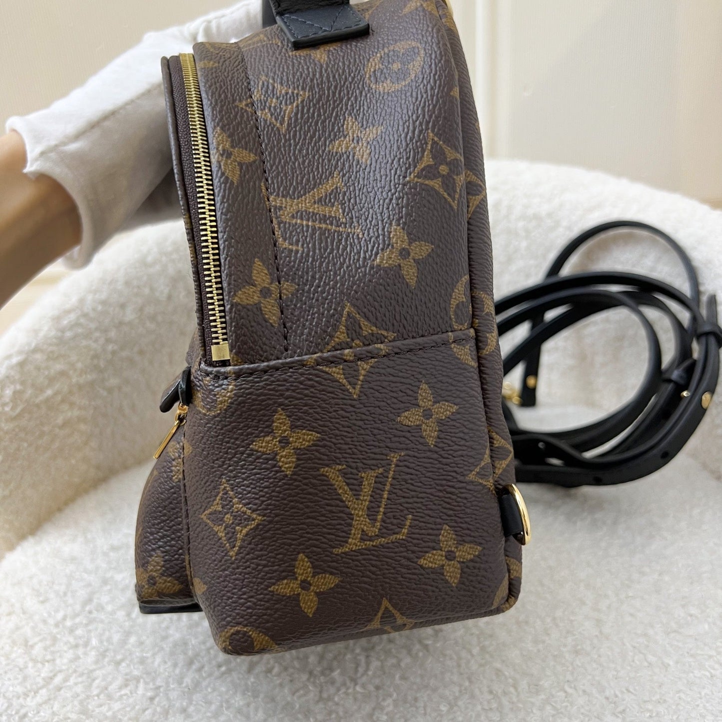 LV Palm Springs Mini Backpack in Monogram Canvas GHW