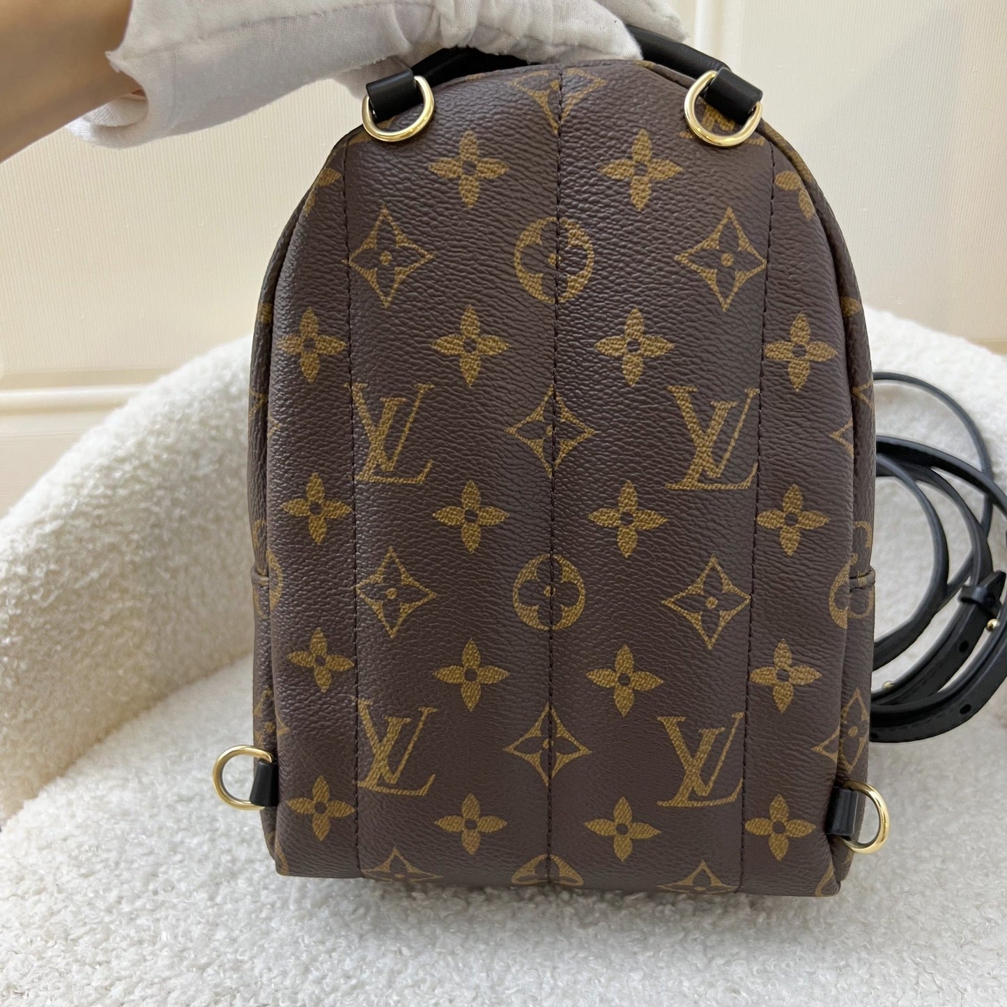 LV Palm Springs Mini Backpack in Monogram Canvas GHW