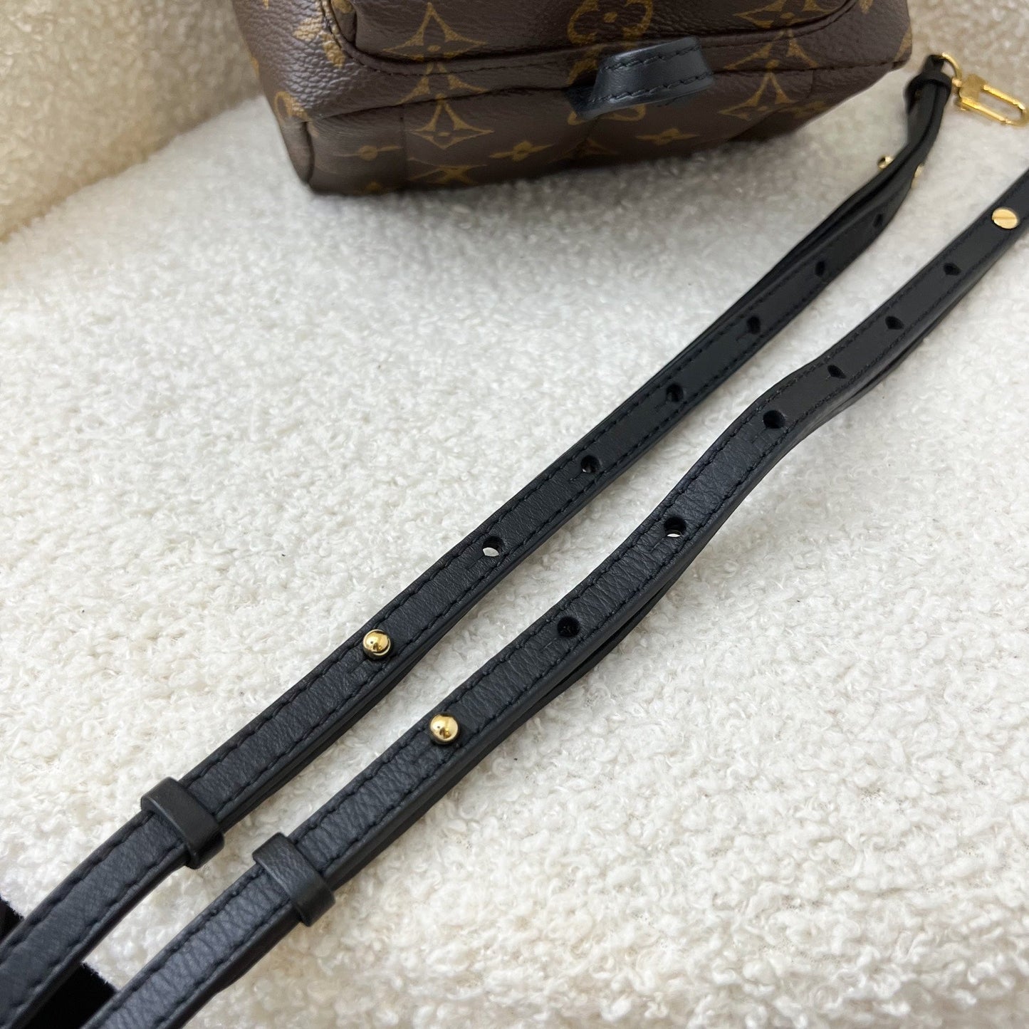 LV Palm Springs Mini Backpack in Monogram Canvas GHW
