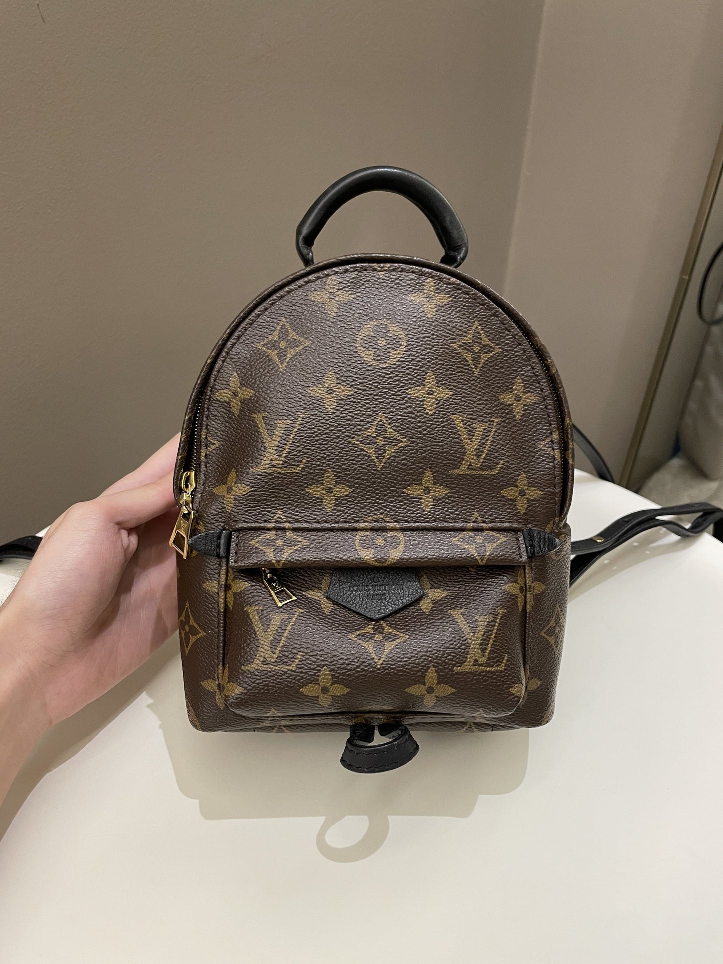 Louis Vuitton Palm Spring Mini Backpack Classic Monogram
