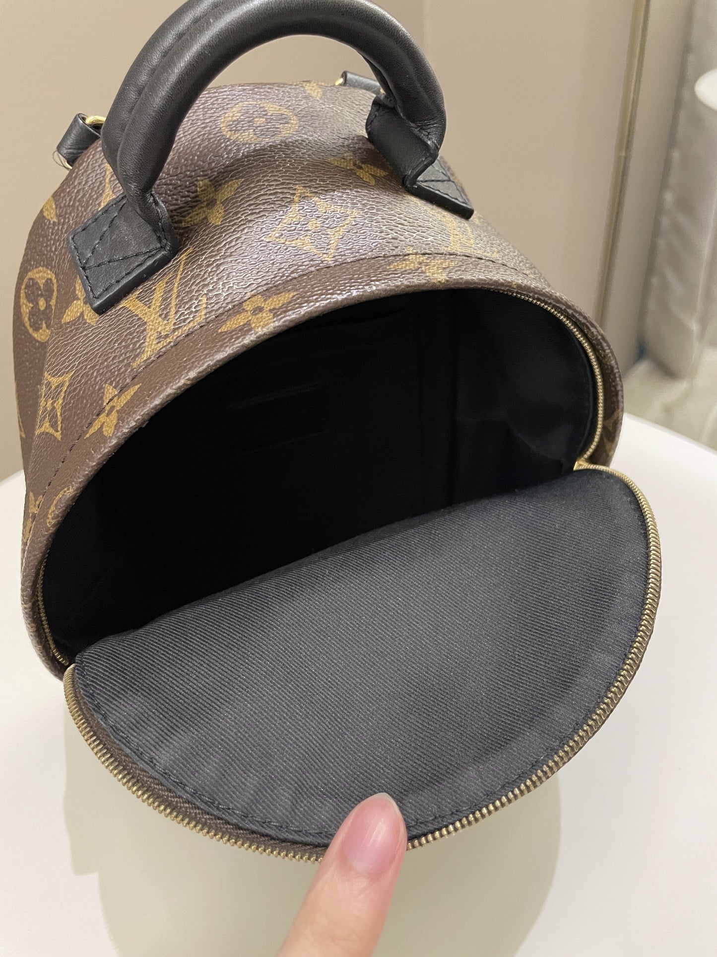 Louis Vuitton Palm Spring Mini Backpack Classic Monogram