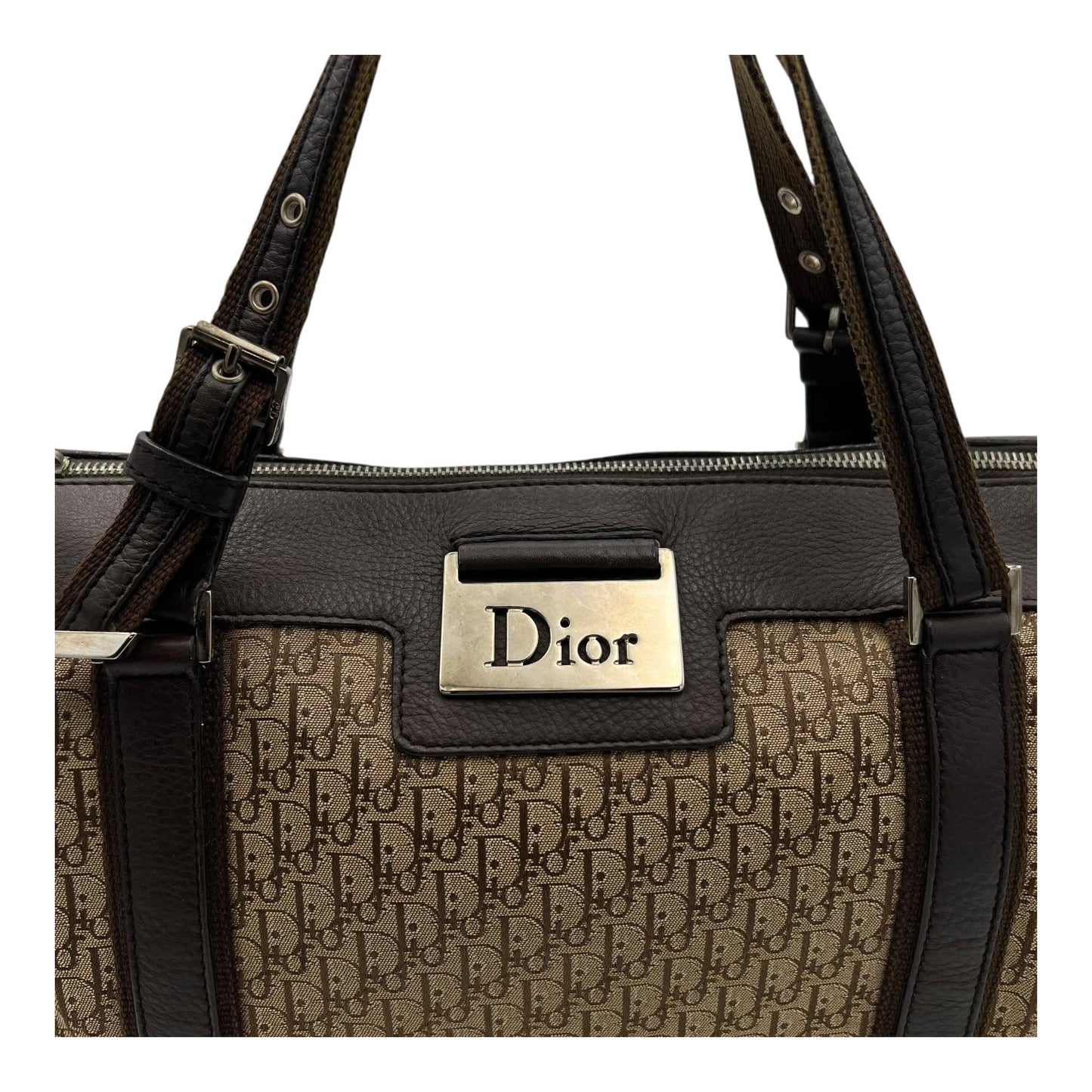 Trotteur Shoulder Bag Brown in Canvas, Silver hardware