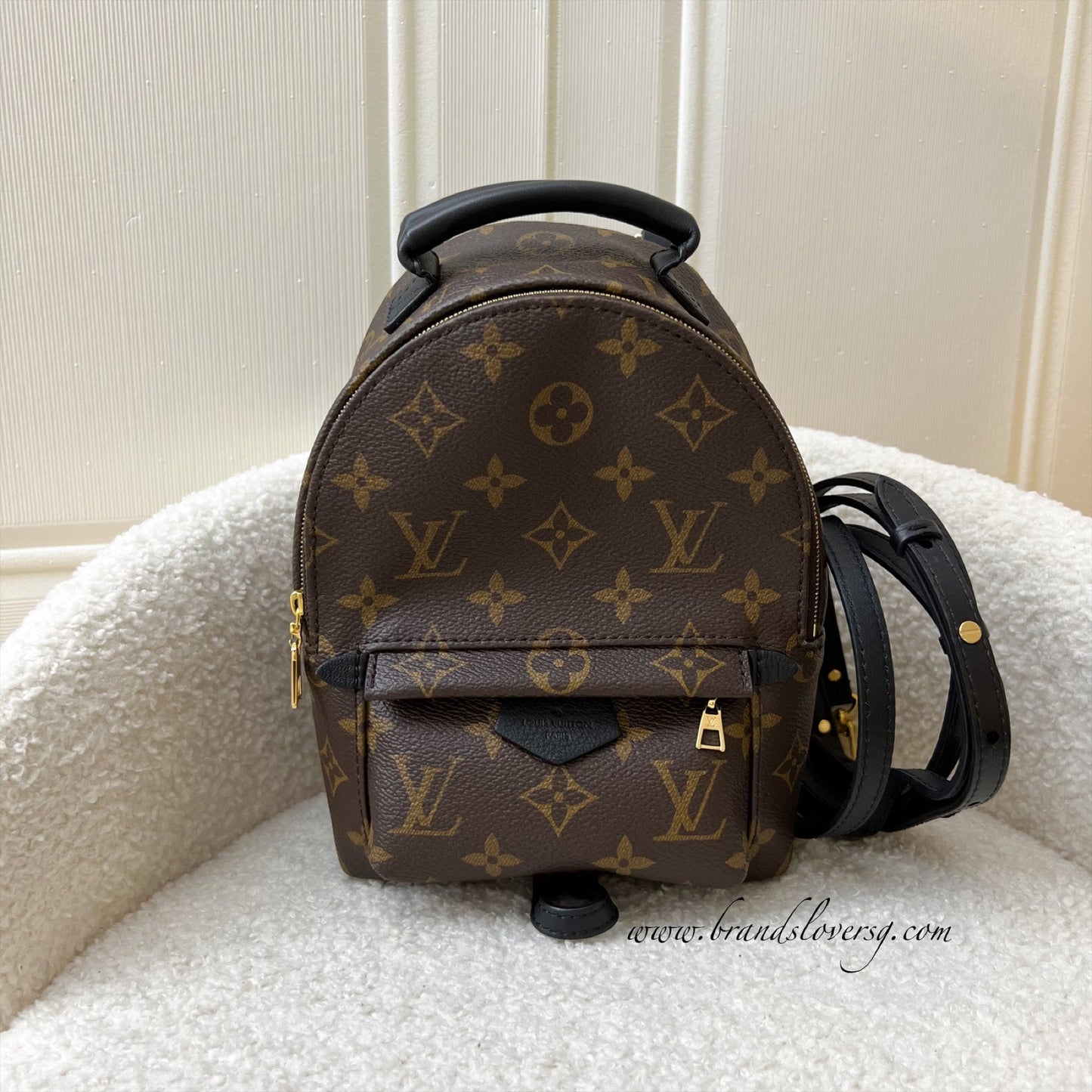 LV Palm Springs Mini Backpack in Monogram Canvas GHW