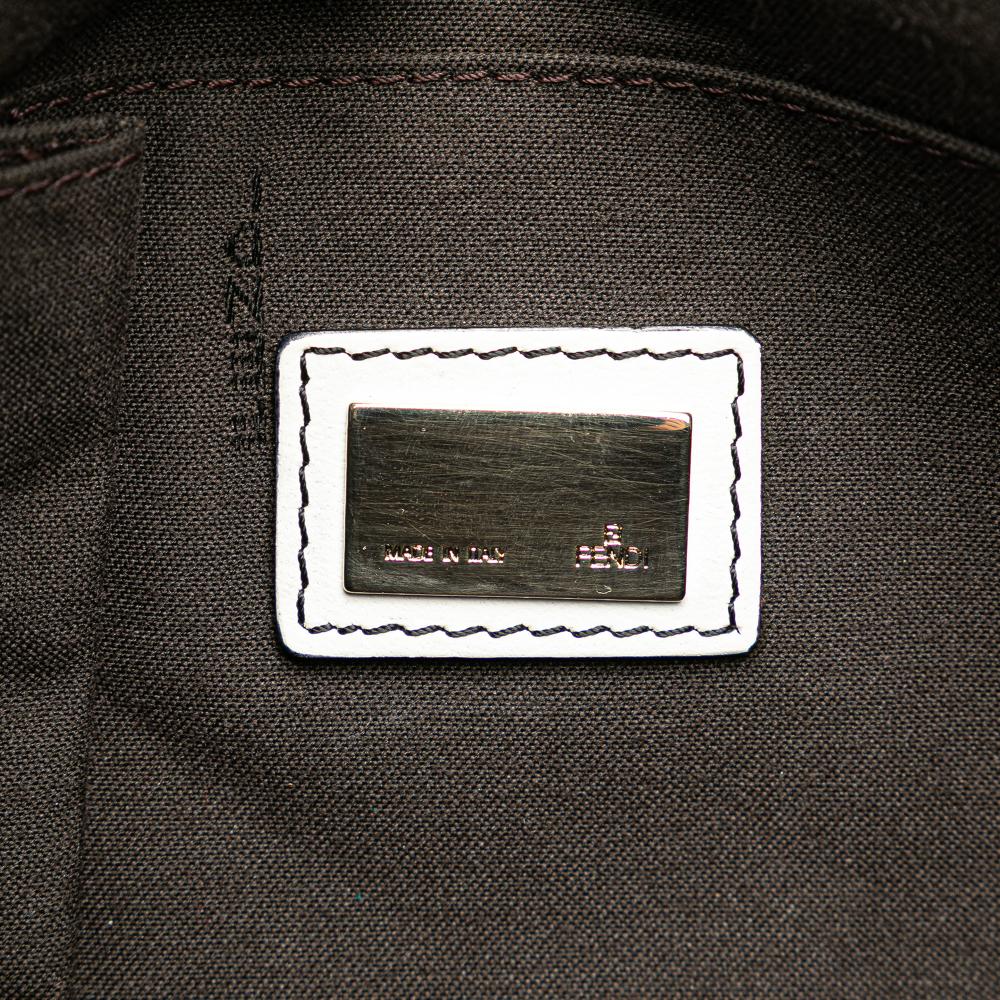 Black Canvas Fendi Crossbody Bag