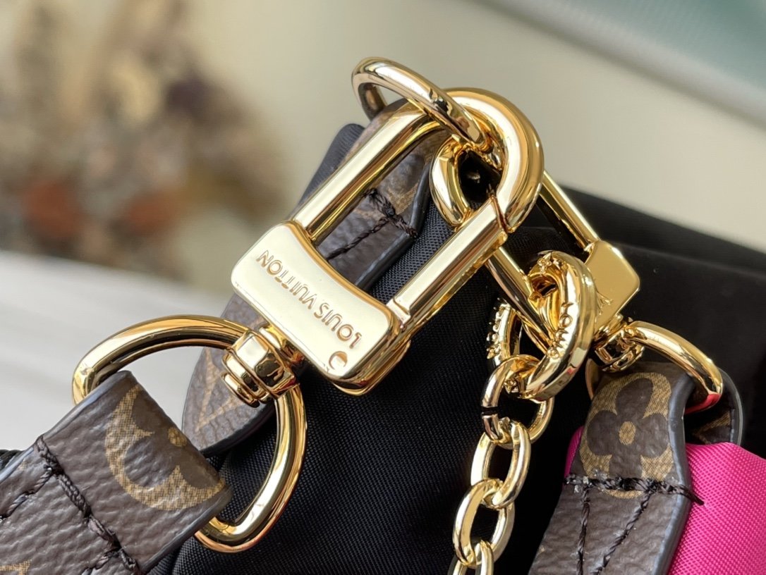 Louis Vuitton Maxi Multi Pochette Accessories Bag