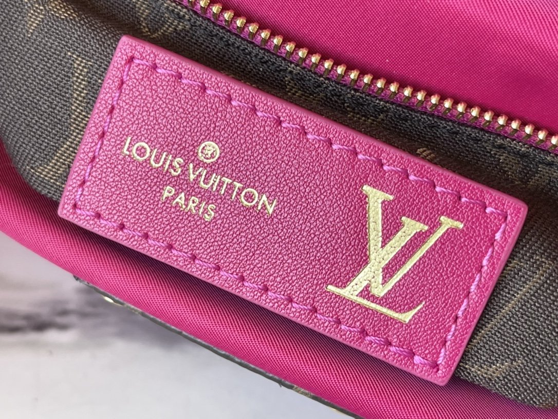 Louis Vuitton Maxi Multi Pochette Accessories Bag
