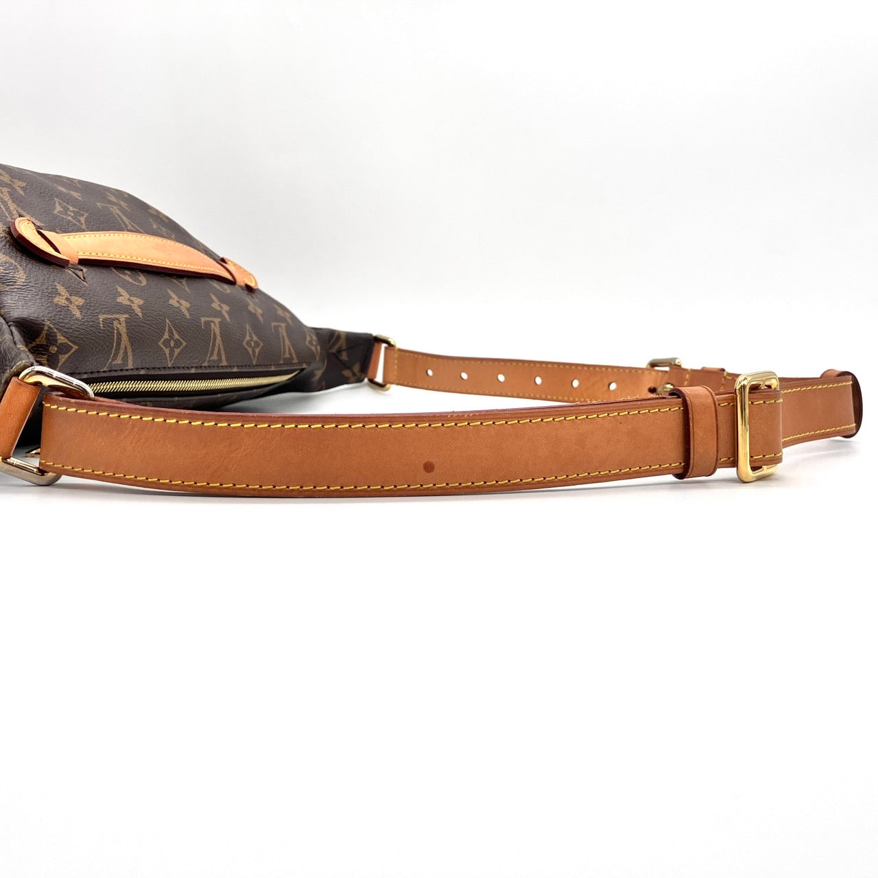 LOUIS VUITTON Monogram Bum bag