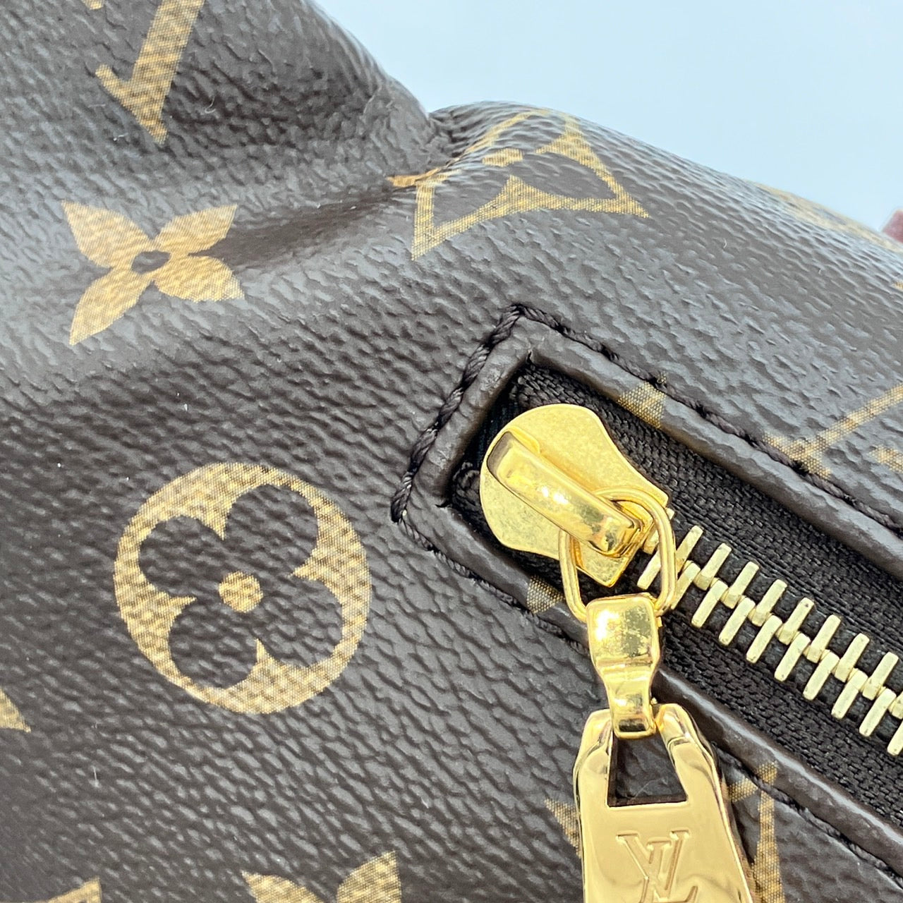 LOUIS VUITTON Monogram Bum bag