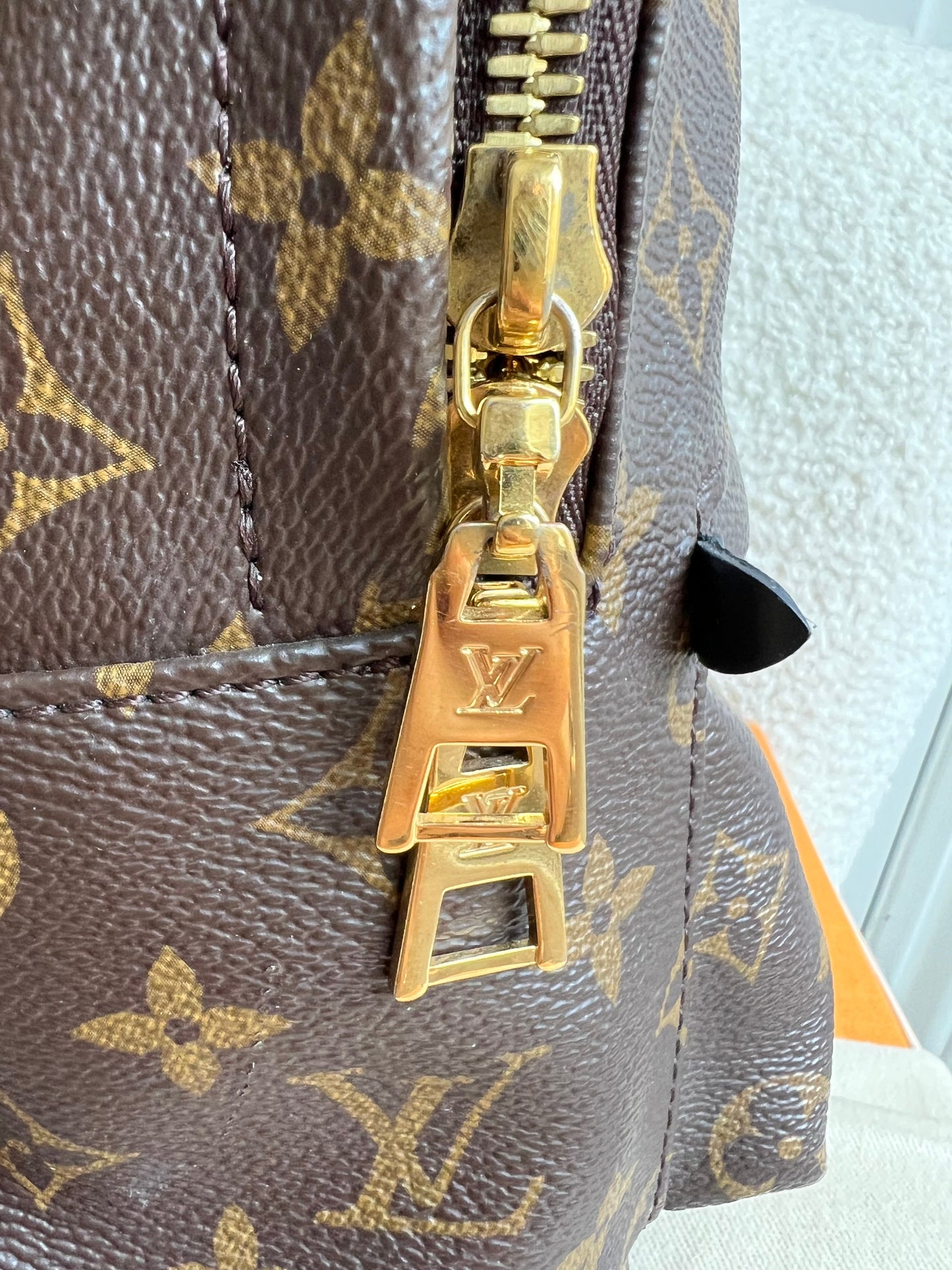 Louis Vuitton Palm Springs PM Backpack