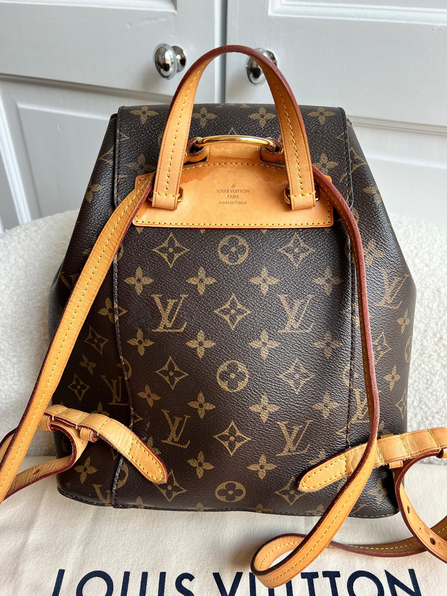 Louis Vuitton Montsouris PM Backpack (£1980)