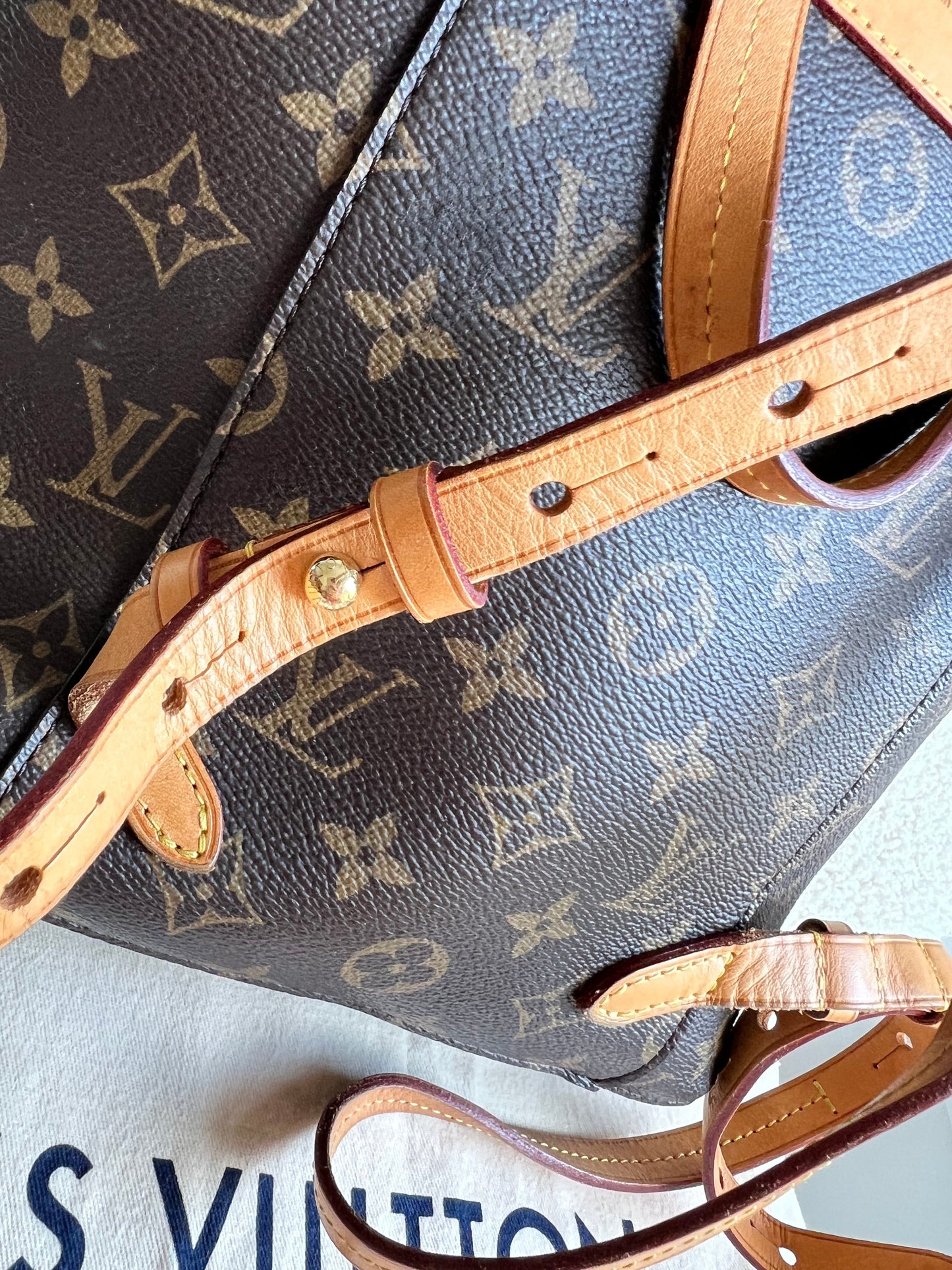 Louis Vuitton Montsouris PM Backpack (£1980)