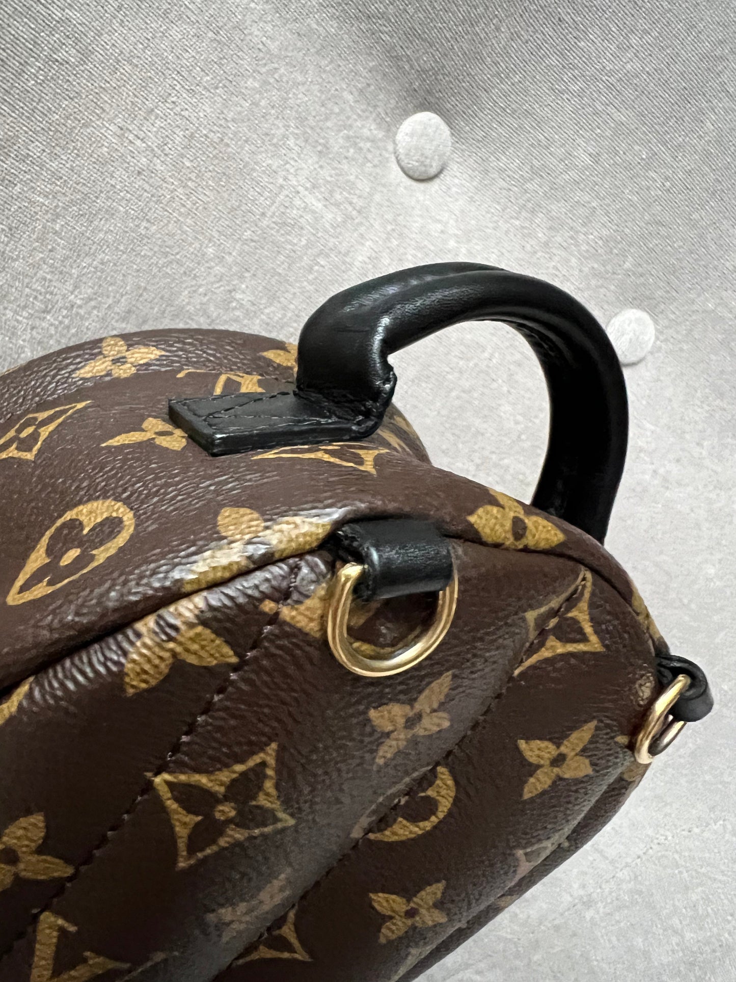 Louis Vuitton Palm Springs Mini Backpack - one strap